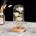 Три троянди в колбі Lesko KY-46456 з LED-підсвіткою Три троянди в колбі Lesko KY-46456 з LED-підсвіткою