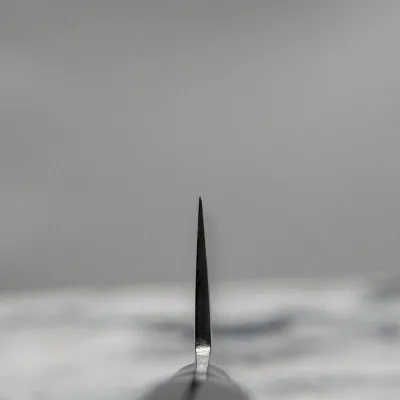 Ніж кухонний Шеф 200 мм Satake Damascus 69 (805-650)