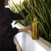 Термопляшка Quokka Sleek Gold 510 мл (57501) Термопляшка Quokka Sleek Gold 510 мл (57501)