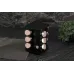 Набір ємностей Berlinger Haus Black Rose Collection (BH-8559)