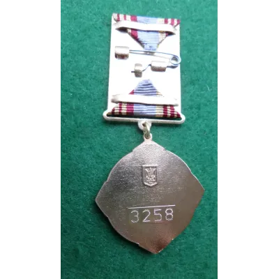 Медаль з посвідченням Collection Медаль за Заслуги 32 мм Сріблястий (hub_3lv2rn)