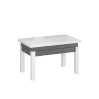 Стіл-трансформер Art In Head B-Fly Glass 900x554x600 Графіт/Білий (TB10070700111) Стіл-трансформер Art In Head B-Fly Glass 900x554x600 Графіт/Білий (TB10070700111)