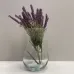 Ваза стеклянная 18 см Trendglass Asta 35445
