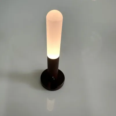 Лампа светильник LED с датчиком движени OLED READER SIL-GAL01 Лампа светильник LED с датчиком движени OLED READER SIL-GAL01