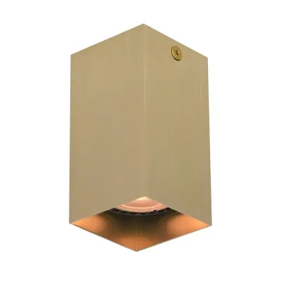 Точковий світильник Italux Ander Золотий (CLN-28394-S-GD)