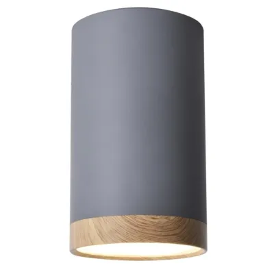 Точковий світильник Candellux Tuba Сірий (2282879)