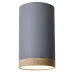 Точковий світильник Candellux Tuba Сірий (2282879)