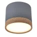 Точковий світильник Candellux Tuba Сірий (2275925)