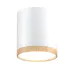 Точечный светильник Candellux Tuba Белый (2273624)