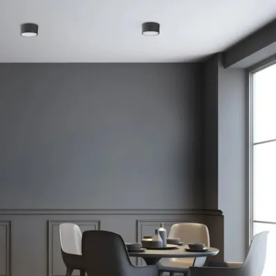 Точечный светильник TK Lighting Dallas Черный (TK6241) Точечный светильник TK Lighting Dallas Черный (TK6241)