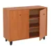 Распашной комод с дверками Компанит Комод-20 100х40х82 см ольха
