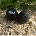 Масажний подвійний м'яч силіконовий PowerPlay PP-4355 Silicone Lacrosse Peanut Ball 6.3х12.6 см Чорний Масажний подвійний м'яч силіконовий PowerPlay PP-4355 Silicone Lacrosse Peanut Ball 6.3х12.6 см Чорний