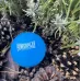 Массажный силиконовый мяч PowerPlay PP-4354 Silicone Lacrosse Ball 6,3 см Синий Массажный силиконовый мяч PowerPlay PP-4354 Silicone Lacrosse Ball 6,3 см Синий