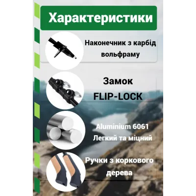 Палки для скандинавской ходьбы PowerPlay 9105 Sisu 80-135 см Black Gold Палки для скандинавской ходьбы PowerPlay 9105 Sisu 80-135 см Black Gold