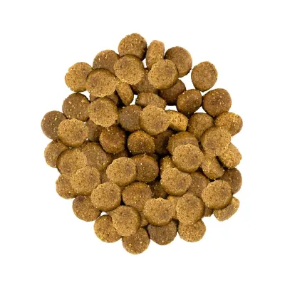 Корм для собак средних пород Savory Fresh Turkey and Lamb с индейкой и ягнёнком 1 кг (30259) Корм для собак средних пород Savory Fresh Turkey and Lamb с индейкой и ягнёнком 1 кг (30259)