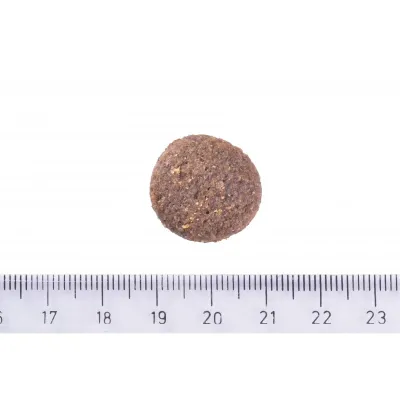 Корм для собак великих порід Brit Care Dog Hypoallergenic Adult Large Breed з ягнятком гіпоалергенний 3 кг (172221)