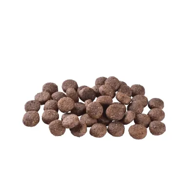 Сухой корм для собак Brit Care Dog Grain-free Adult с лососем 1 кг (172196)