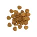 Лакомства для кошек Savory Kitten с индейкой и клюквой 50 г (31393) Лакомства для кошек Savory Kitten с индейкой и клюквой 50 г (31393)