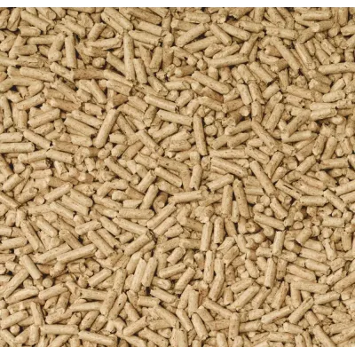 Наповнювач для котячого туалету Cats Best Smart Pellets дерев'яний 5 л 2.5 кг (JRS320213/2135) Наповнювач для котячого туалету Cats Best Smart Pellets дерев'яний 5 л 2.5 кг (JRS320213/2135)