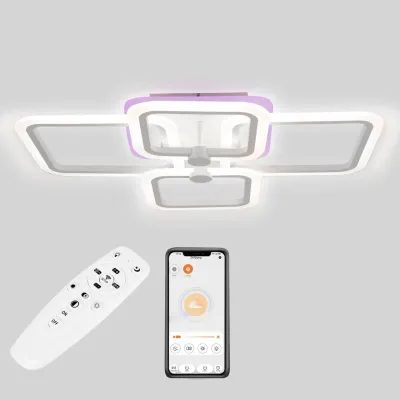 Потолочная LED люстра Sunlight 5667/2+2 R белый Потолочная LED люстра Sunlight 5667/2+2 R белый