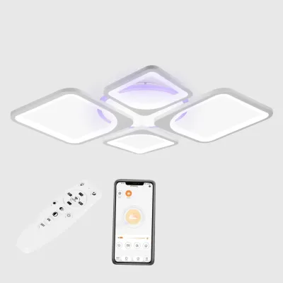 Стельова LED люстра Sunlight 5631/2+2 R білий