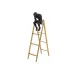 Настільна фігурка Lefard Pinnacle of Being 31 см Чорний (231822)