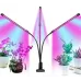 Фітолампа для домашніх рослин Supretto LED Supretto 30 Вт Чорний (2104618334)