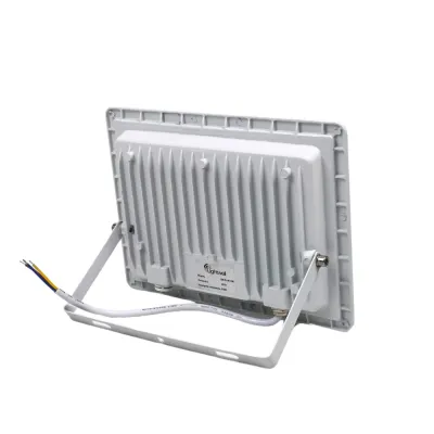 Прожектор светодиодный Lightwell LW-FL-W-100 100 W 295918 Прожектор светодиодный Lightwell LW-FL-W-100 100 W 295918