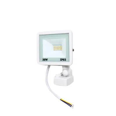 Прожектор світлодіодний з датчиком руху Lightwell LW-FL-W-20-S 20 W 295921