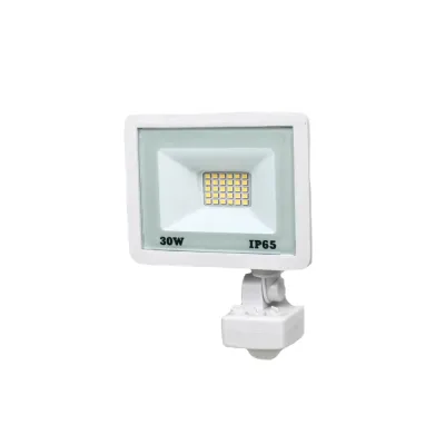 Прожектор світлодіодний з датчиком руху Lightwell LW-FL-W-30-S 30 W 295922