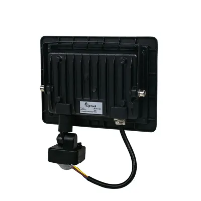 Прожектор світлодіодний з датчиком руху Lightwell LW-FL-B-30-S 30 W 301048