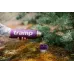 Термос с нержавеющей стали Tramp Expedition Line UTRC-031 0.75 л purple Термос с нержавеющей стали Tramp Expedition Line UTRC-031 0.75 л purple
