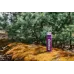 Термос Tramp Expedition Line UTRC-027 0,9 л purple