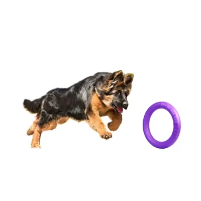 Игрушка для собак Collar PULLER Standard тренировочный снаряд 28 см 2 шт Фиолетовый (15291)