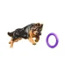 Игрушка для собак Collar PULLER Standard тренировочный снаряд 28 см 2 шт Фиолетовый (15291)