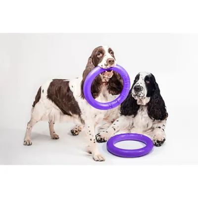 Игрушка для собак Collar PULLER Standard тренировочный снаряд 28 см 2 шт Фиолетовый (15291)