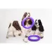 Игрушка для собак Collar PULLER Standard тренировочный снаряд 28 см 2 шт Фиолетовый (15291)