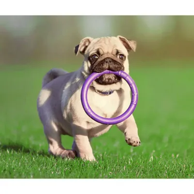 Іграшка для собак Collar PULLER Standard тренувальний снаряд 18 см 2 шт Фіолетовий (15292)
