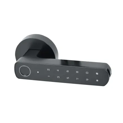 Розумний дверний замок Atis Lock BT-100-T Black