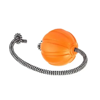М'ячик для собак Collar Лайкер 5 Корд на шнурі 5 см Оранжевий (Collar6285) (15722) М'ячик для собак Collar Лайкер 5 Корд на шнурі 5 см Оранжевий (Collar6285) (15722)