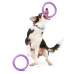 Игрушка для собак Collar PULLER Midi кольцо 2 шт 19,5 см Фиолетовый (Collar6488) (15852) Игрушка для собак Collar PULLER Midi кольцо 2 шт 19,5 см Фиолетовый (Collar6488) (15852)