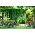 Комплект садових мебелів GardenLine Verona-4 5 предметів Black (TIH3377)