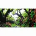 Фон для акваріума Hobby Green Dream/Wooden Sky самоклеючий 60x30 см Різнокольоровий (HB31230) Фон для акваріума Hobby Green Dream/Wooden Sky самоклеючий 60x30 см Різнокольоровий (HB31230)