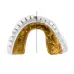 Капа під брекети Opro Gold Braces 11+ White Gold (102506004)