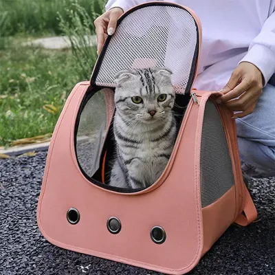 Рюкзак-перенесення для котів MoorPet 257711 31х30 см Peach 12982-84061