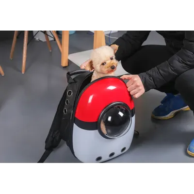 Рюкзак для перенесення домашніх тварин CosmoPet CP-87 з ілюмінатором 42х31х20 см Різнокольоровий (3_06372)