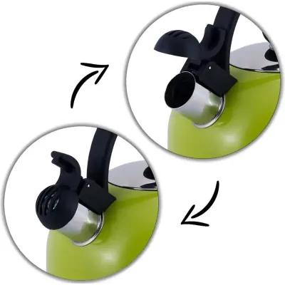 Чайник для плити Young Leaf з нержавіючої сталі 2,5л green Kamille DP262105