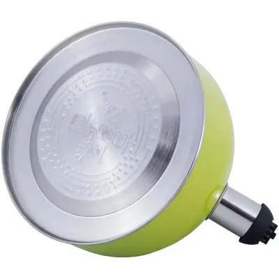 Чайник для плити Young Leaf з нержавіючої сталі 2,5л green Kamille DP262105