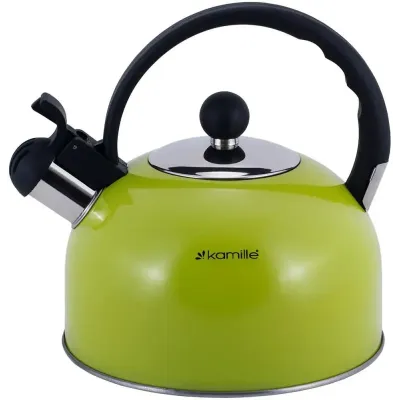 Чайник для плити Young Leaf з нержавіючої сталі 2,5л green Kamille DP262105