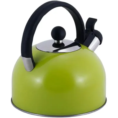 Чайник для плити Young Leaf з нержавіючої сталі 2,5л green Kamille DP262105